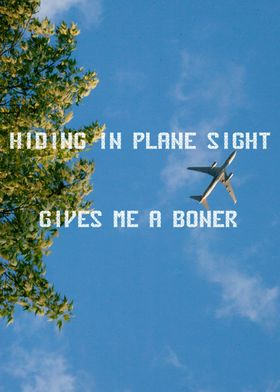 HIDING IN PLANE SIGHT