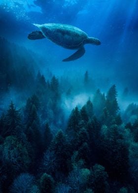 Sea Turtle swims over tree