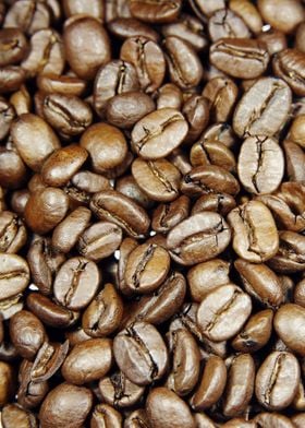 coffee beans 9