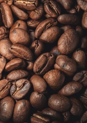 coffee beans 5