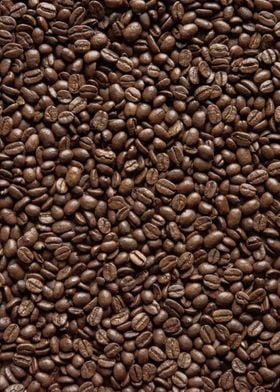 coffee beans 10