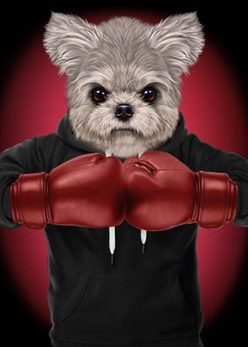 Boxer Maltese Dog