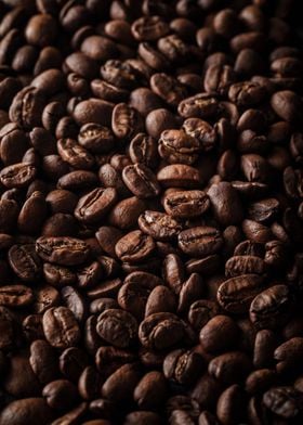 coffee beans 6