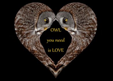 OWL you need is LOVE