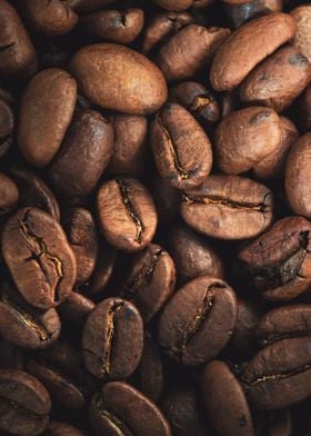 coffee beans 3