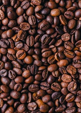 coffee beans 7