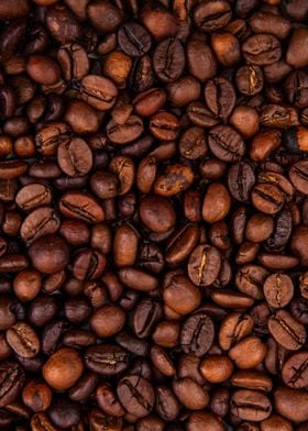 coffee beans 8