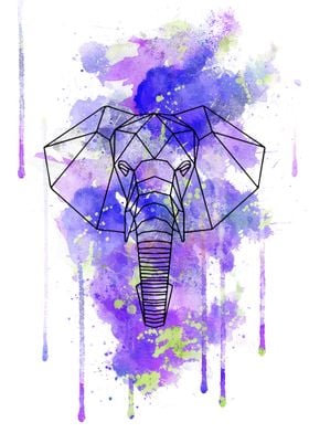 Elephant 