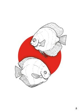 JAPAN FISH