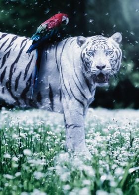 White Tiger and Parrot