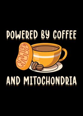 Coffee and Mitochondria