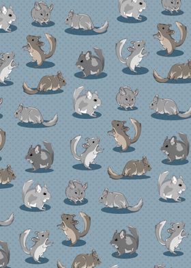 Chinchilla Pattern