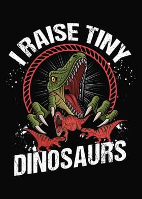 Dino Dinosaur Trex 