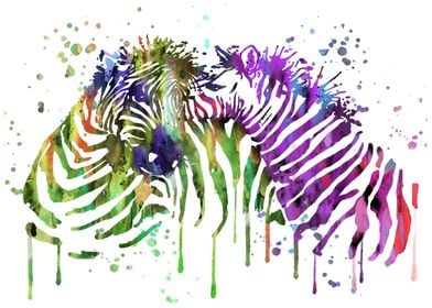 Zebra in love