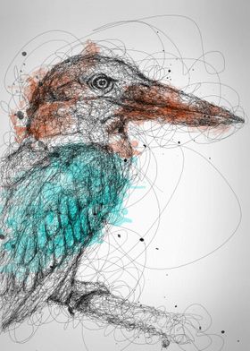 kingfisher scribble