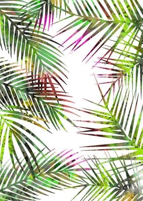 Palm leaves 