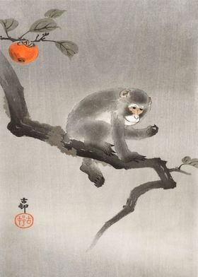 Monkey and Persimmon