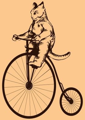 CUTE CAT VINTAGE BIKE