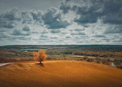 Picturesque fall scene