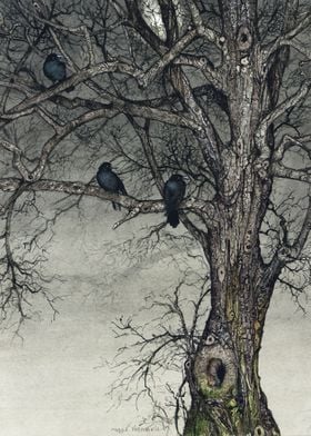 The Roosting Place