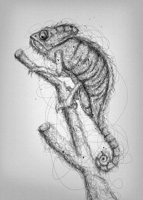 lizard scribble art