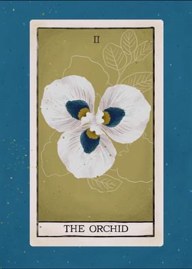 Orchid tarot Flower