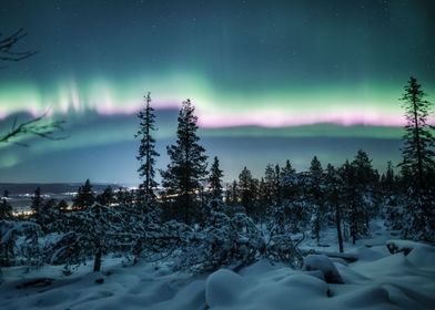Snowy Forest Auroras 1