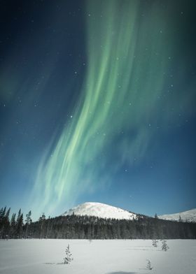 Kellostapuli Auroras