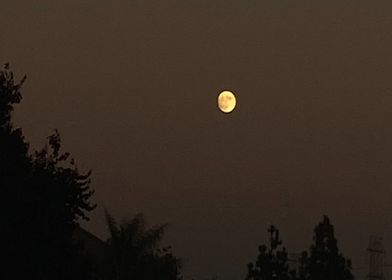 Red Tint Moon