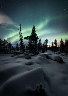 Snowy Forest Auroras 2