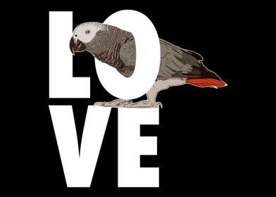 African Grey Parrot Love P