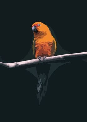 Parrot