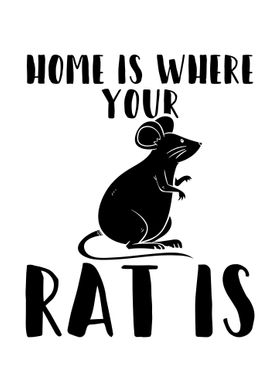 Rat Home Pets Rats Gifts