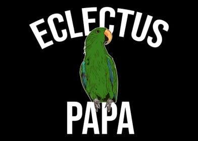 Eclectus Papa Parrot Bird 