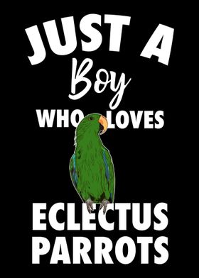 Eclectus Parrot Boy Parrot