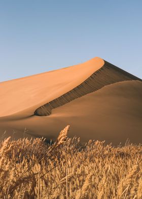 Gobi desert dune