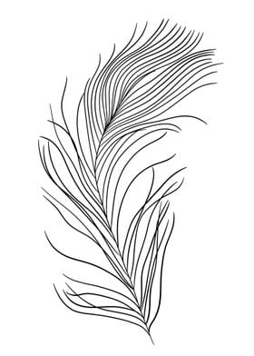 Minimalist Feather
