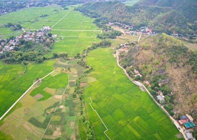 Paddy fields in Mai Chau 