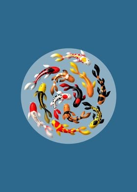 Koi fish with blue base