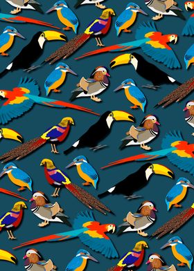 Colorful wild birds