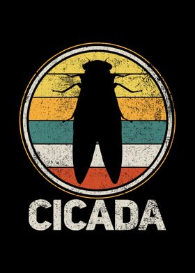 Cicada Insect Vintage