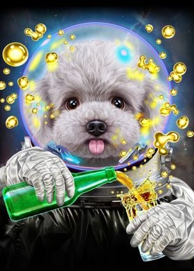 Astronaut Toy Poodle