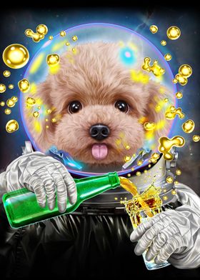 Astronaut Toy Poodle