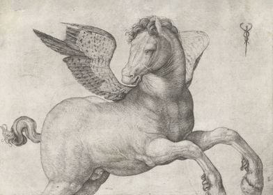 Pegasus