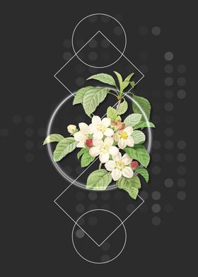 Vintage Apple Blossom Poster By Holy Rock Design Displate