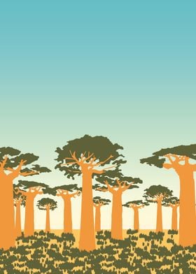 Baobab tree fields