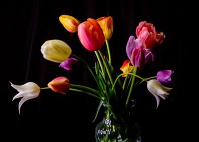 Bouquet of Tulips 