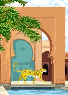 Cheetah under the Moroccan