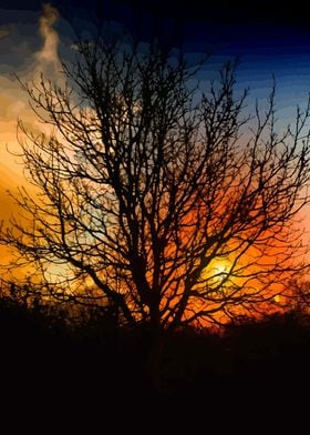 Trees and Sunset 6