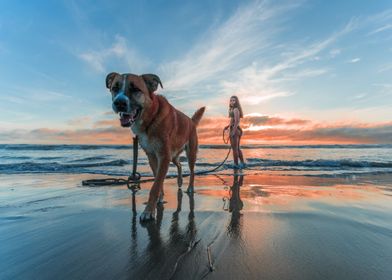 sunset girl dog sea blue